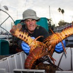 Charlie Kunzel transfers lobsters to a shipping container at the Santa Barbara Harbor.
