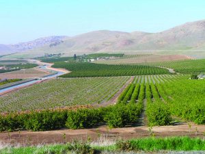 Limoneira is buying property at the Sheldon Ranch in the San Joaquin Valley.