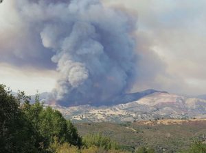A massive plume of smoke from the Rey Fire could be seen many miles away. (Courtesy photo)
