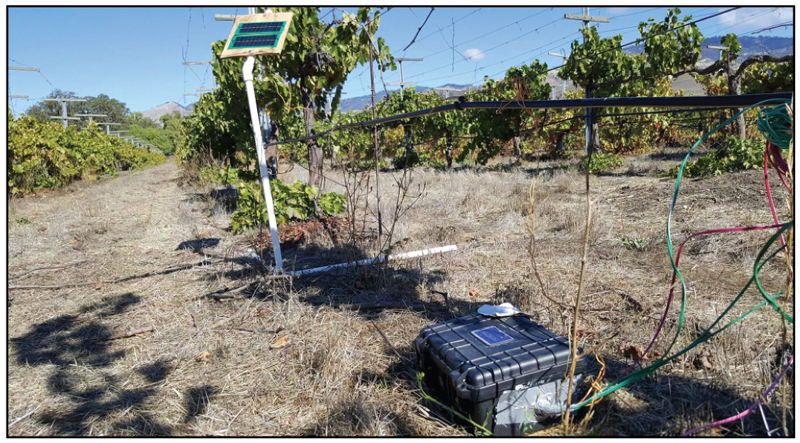 A sensor system measures soil moisture at different depths to determine irrigation needs.